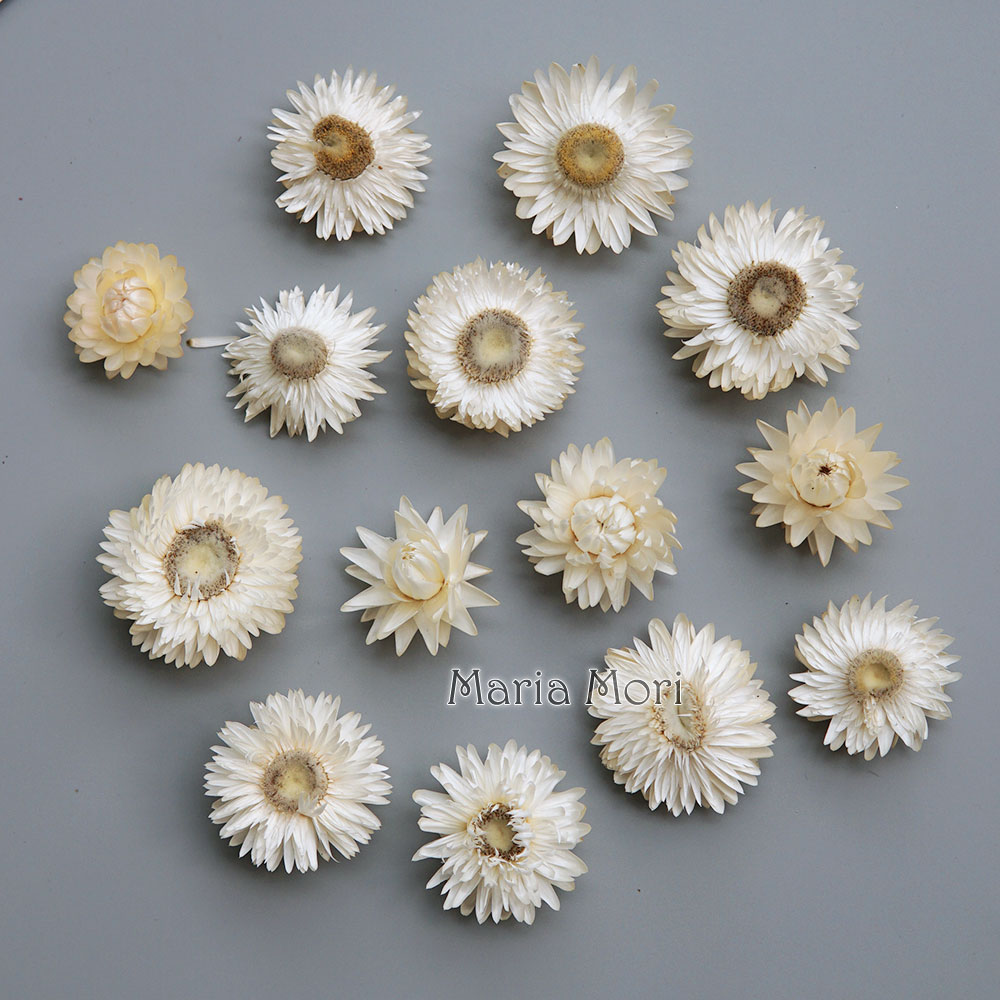 Natural Dried Colorful Chrysan - огляд і ціна Candle Making At Home