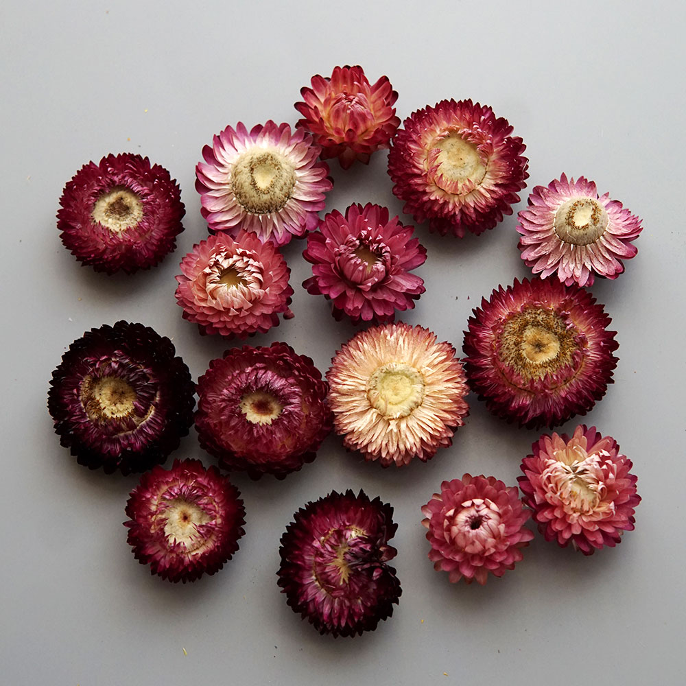 Natural Dried Colorful Chrysan - огляд і ціна Candle Making At Home